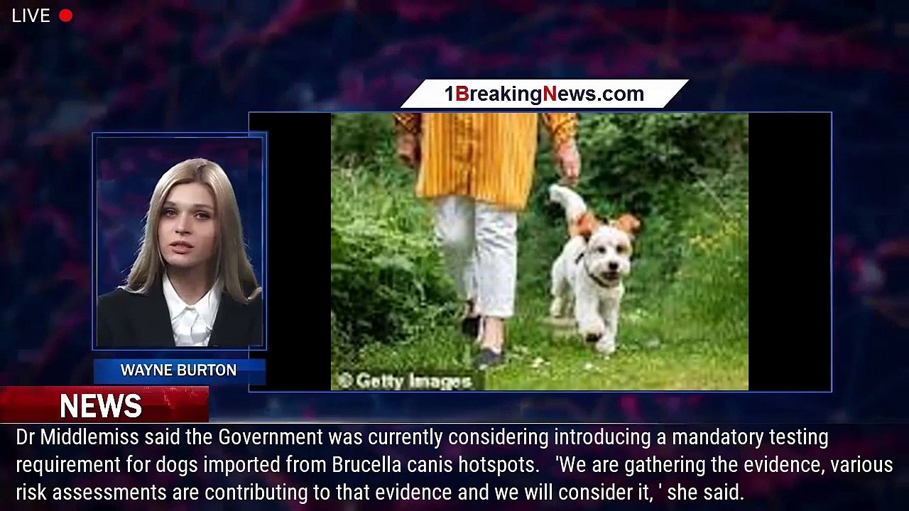 Three Brits catch bacterial infection from dogs for first time as