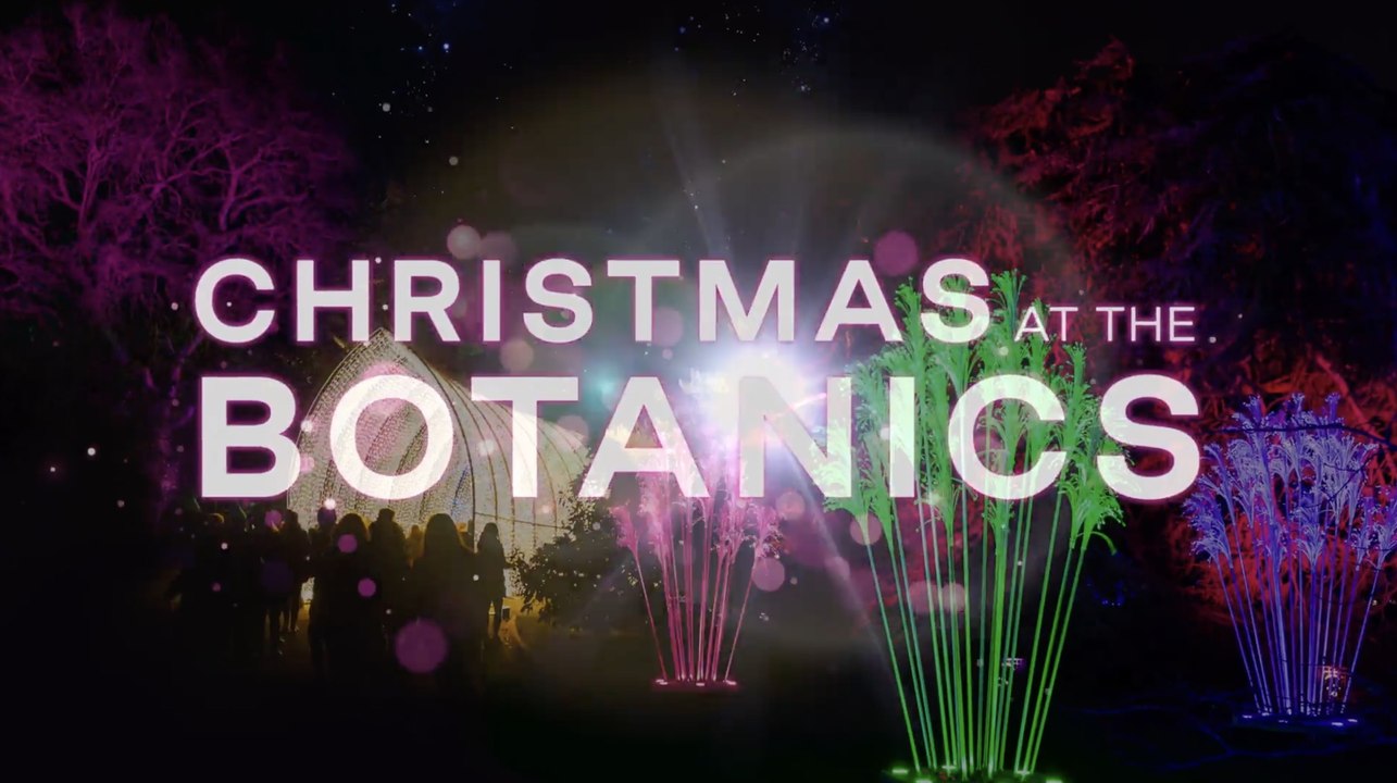 Christmas At The Botanics 2023 to celebrate beauty of Royal Botanic