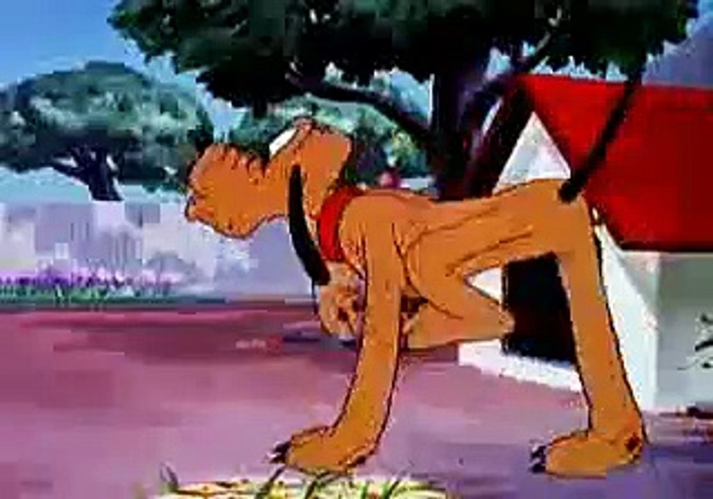 Bone Bandit (1948) video Dailymotion