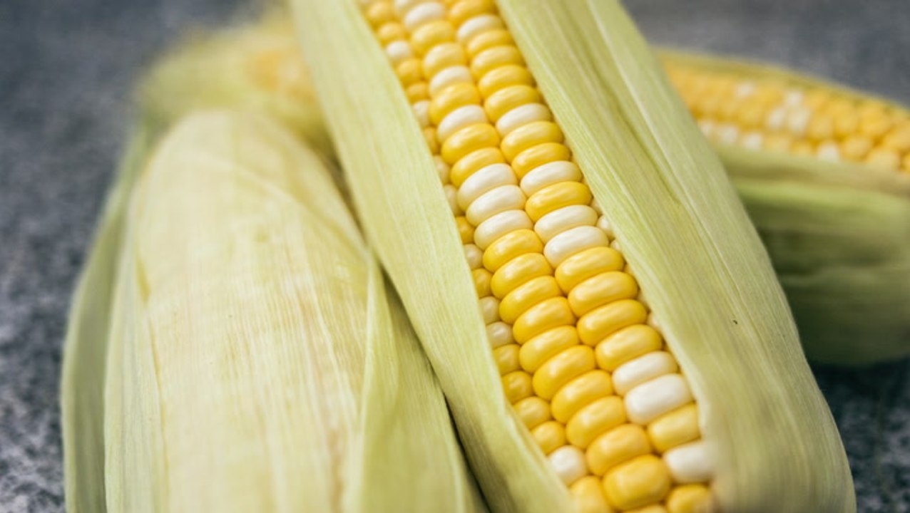 Can You Eat Raw Corn? video Dailymotion