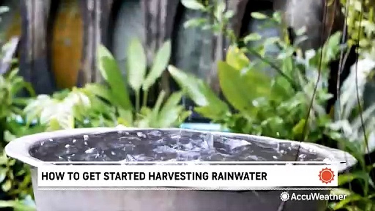 What is rainwater harvesting and is it legal where you live? video