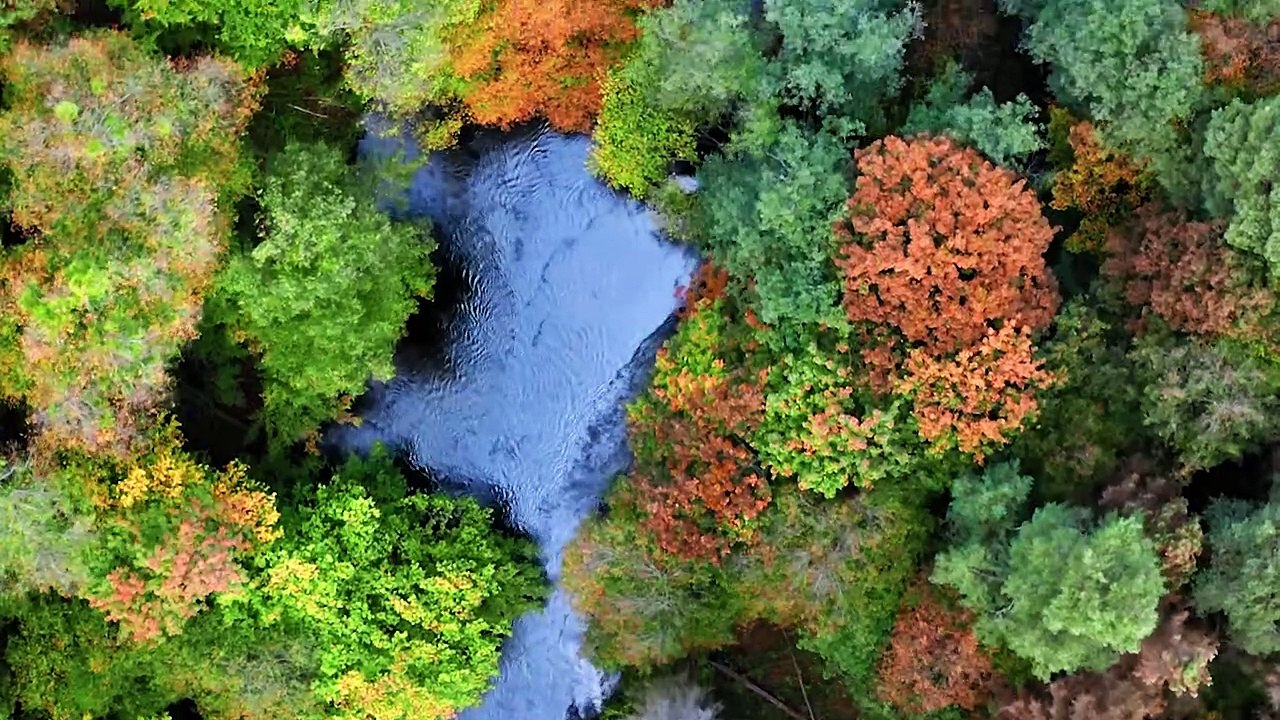 Beautiful Relaxing Music for Stress Relief Calming Music Meditation