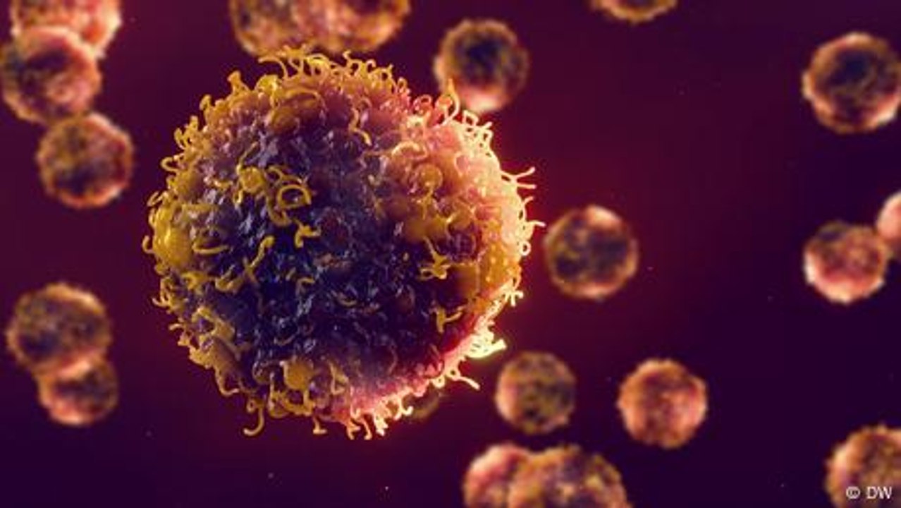 How can you reduce your cancer risk? video Dailymotion