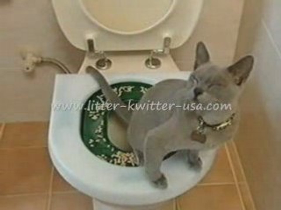 Litter Kwitter Cat Toilet Training System video Dailymotion