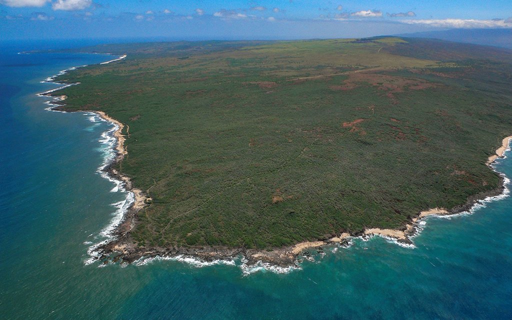 Molokai Real Estate InsideHook