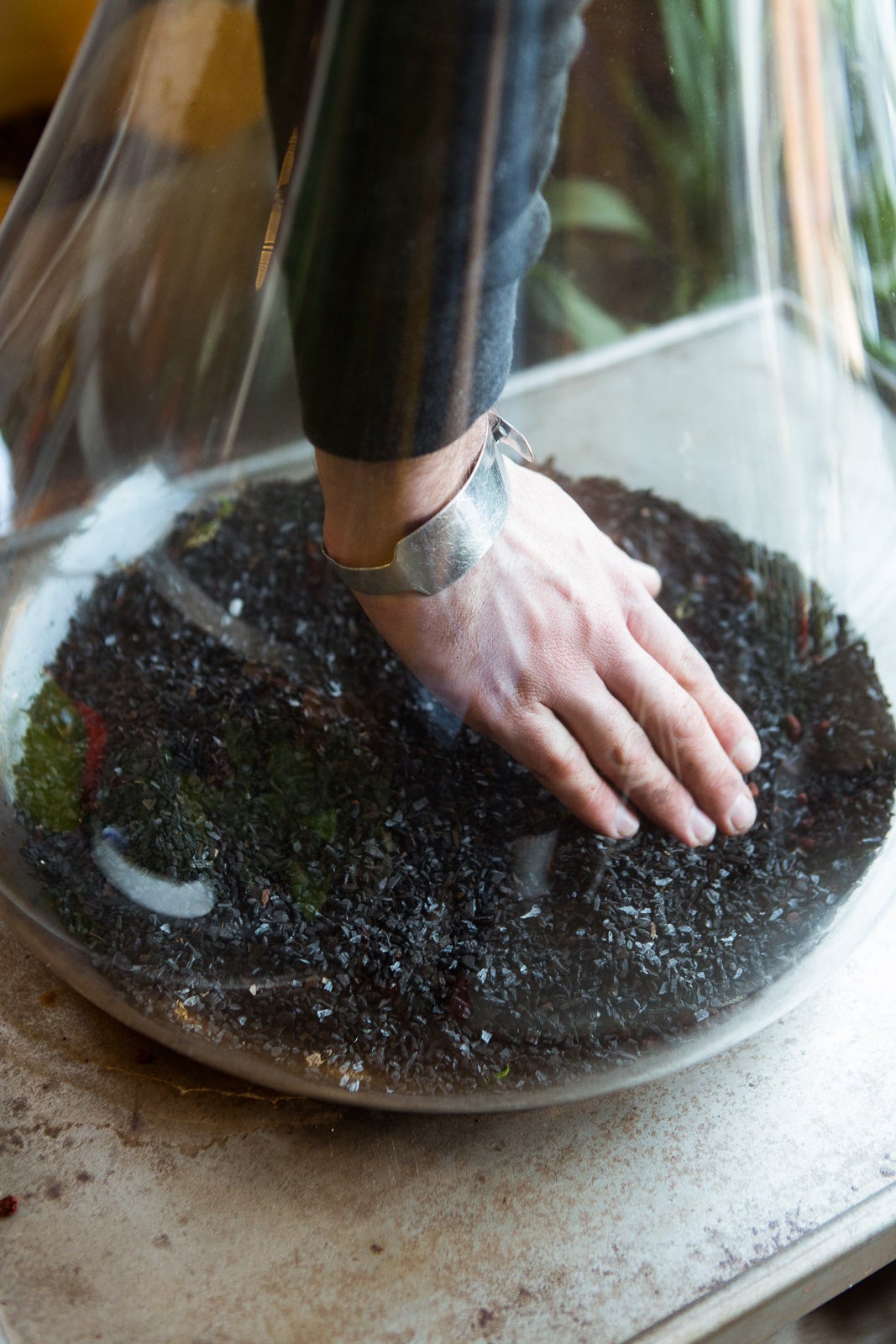 Urban GardeningBest City Gardens In Chicago 2013