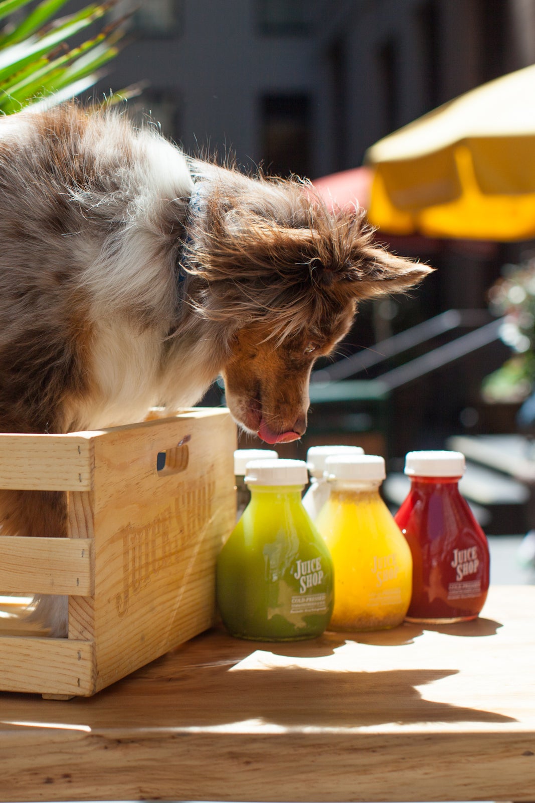 Juice Shop Downtown San Francisco Pics