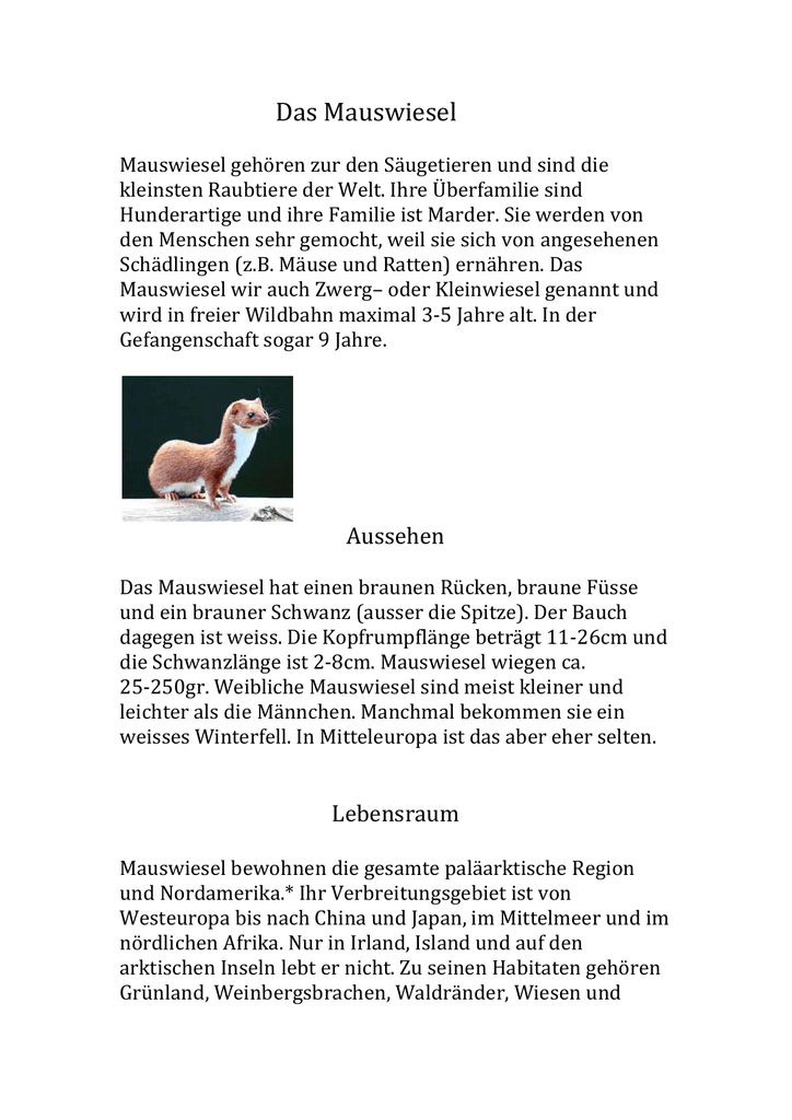 Raubtier Aus Der Familie Der Marder tinas maria