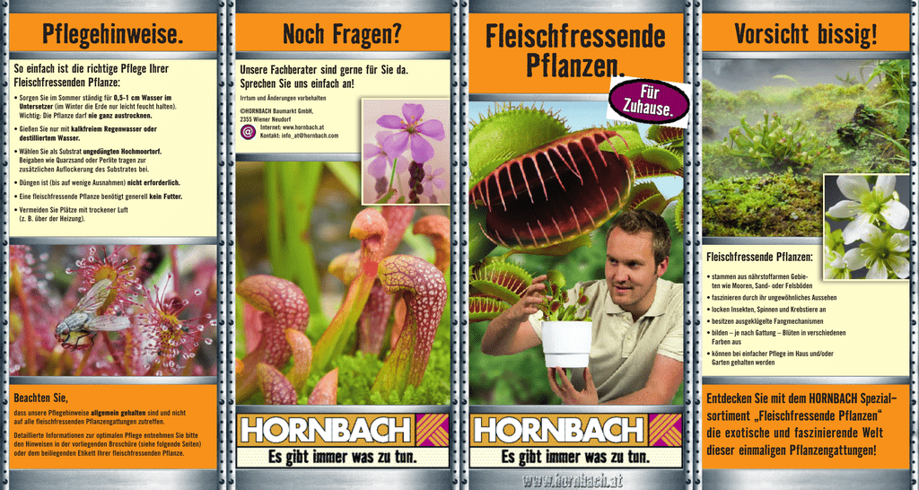 sortiment „Fleischfressende Pflanzen“