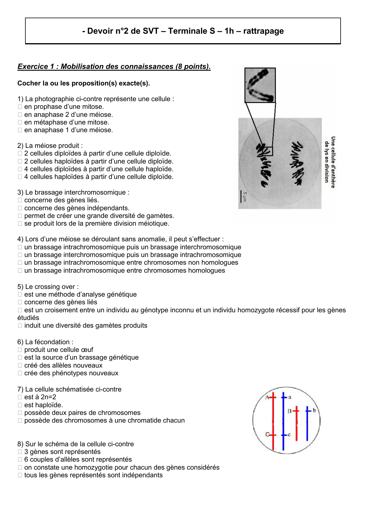 devoir sur les chromosomes 3ème SVT