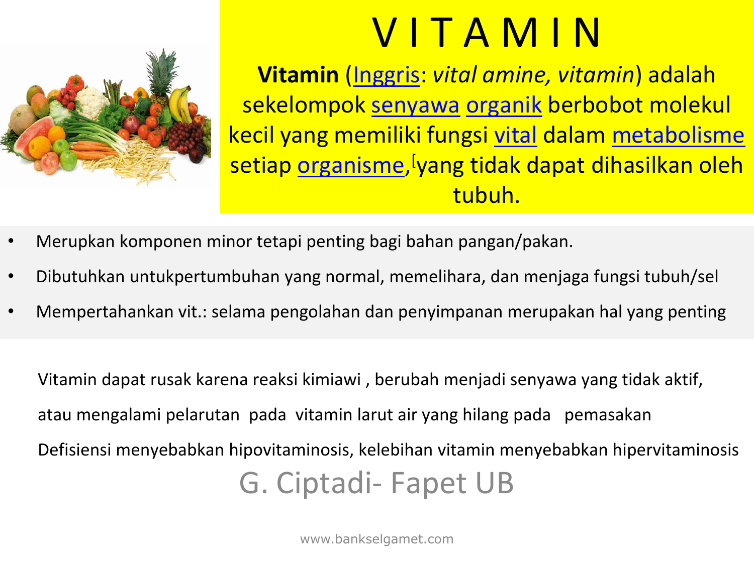 Witamina Blog Vitamin Larut Dalam Air Dan Fungsinya