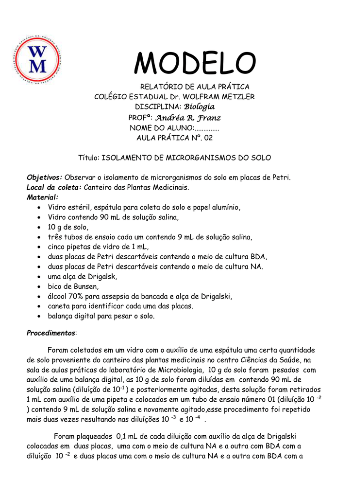 Modelo de relatorio de aula Trabalho de formatura