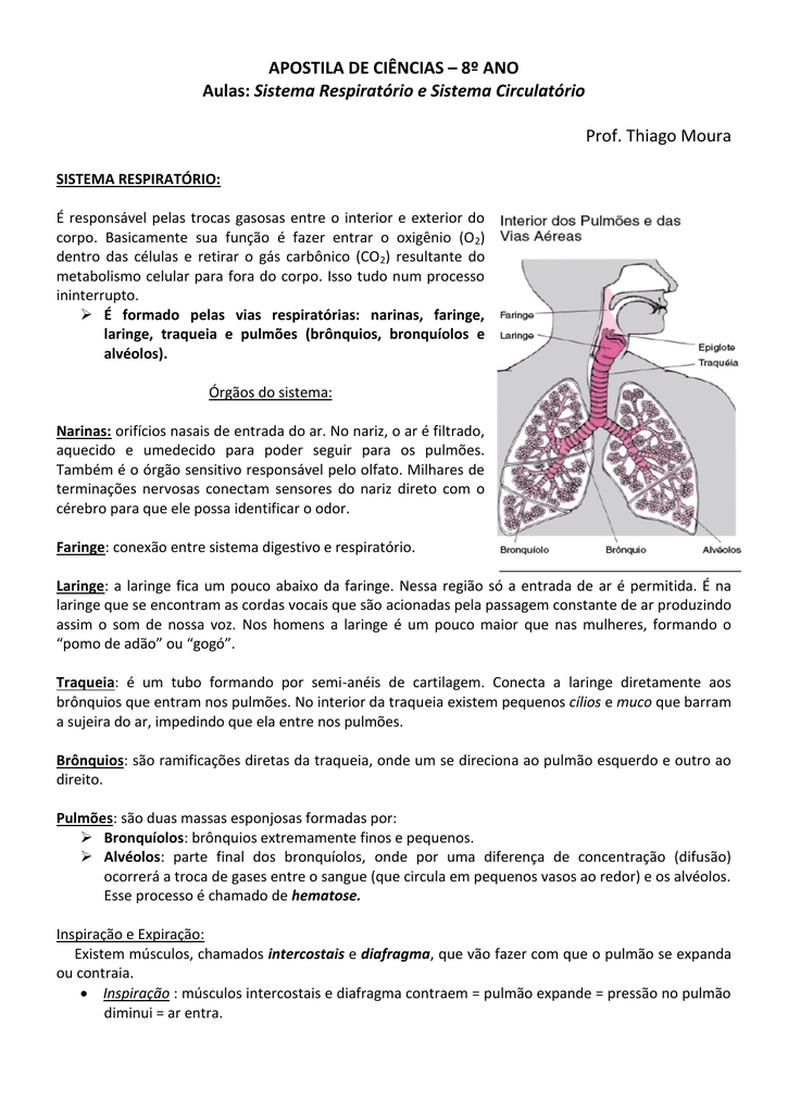 APOSTILA DE CIÊNCIAS 8º ANO Aulas