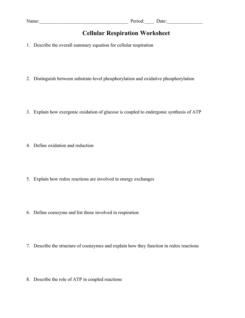 Atp Structure And Function Worksheet Decorating Ideas
