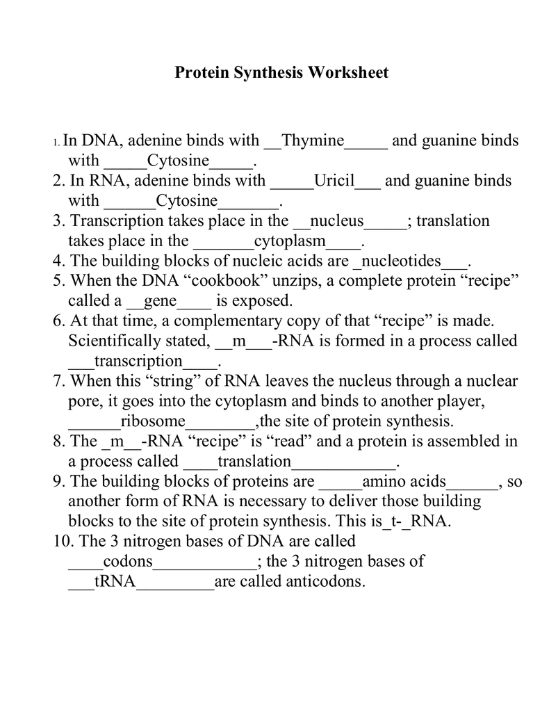 The Reef Commonlit Answer Key Pdf Coral Reefs activity Longman