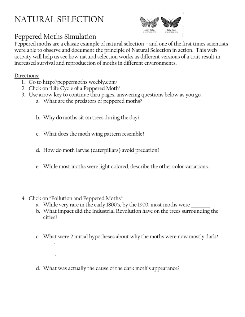 Peppermoths Weebly Com Answer Key – Website Builders Online