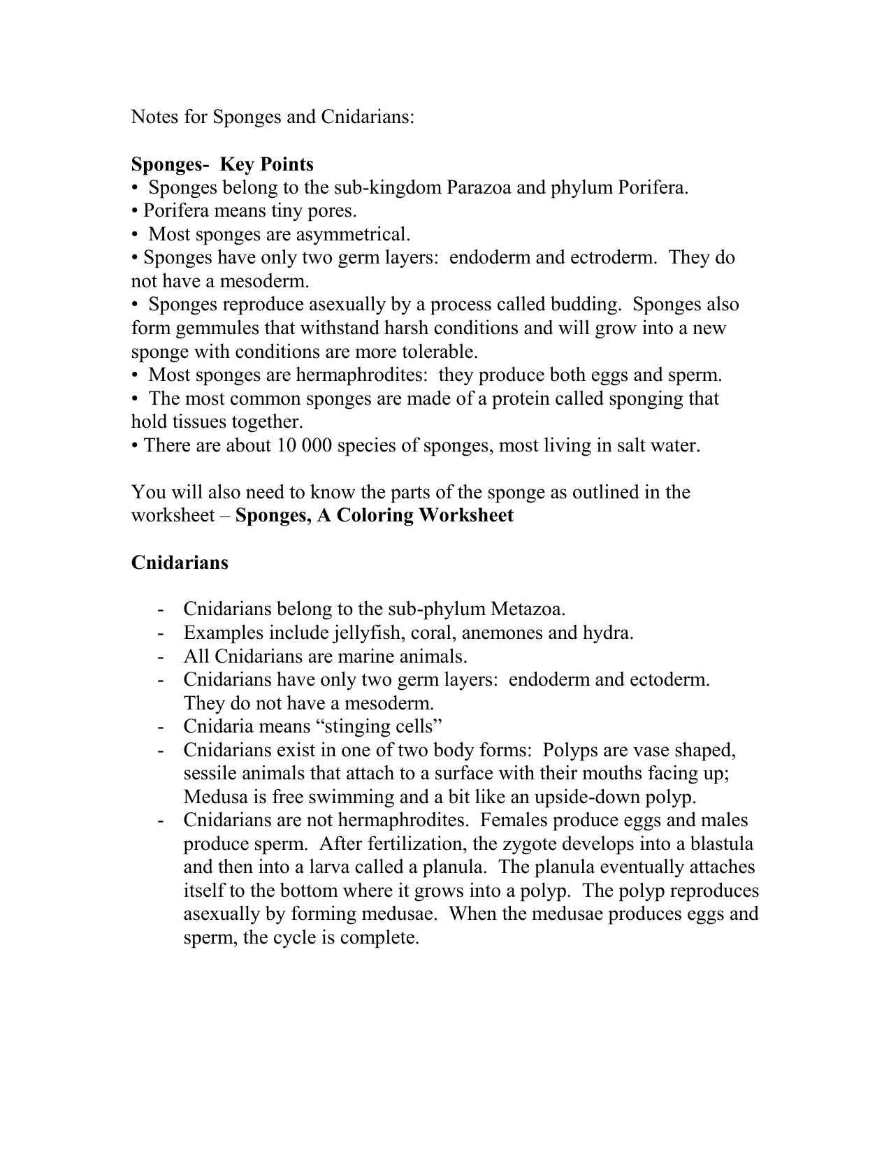 Sponges A Coloring Worksheet English Worksheet