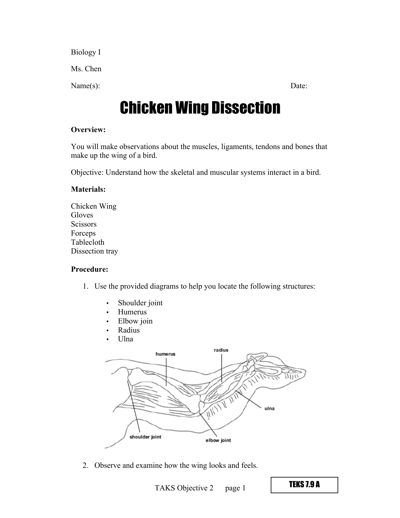 Chicken Wing Dissection Lab YouTube