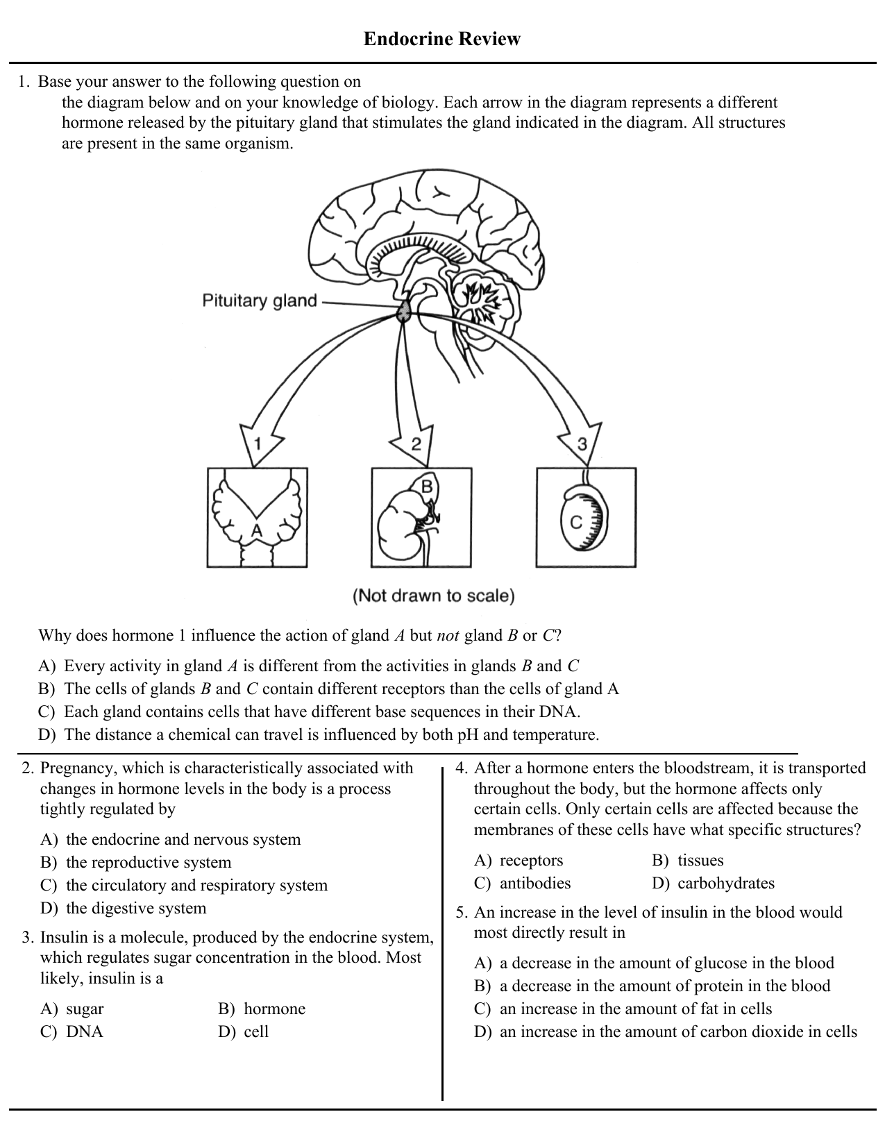 11.4 Endocrine System – Concepts of Biology – 1st Canadian Edition