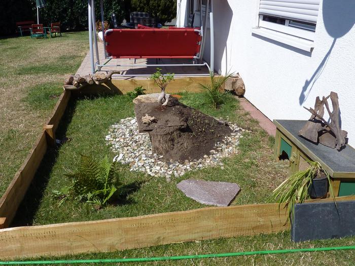 Freigehege für Landschildkröte