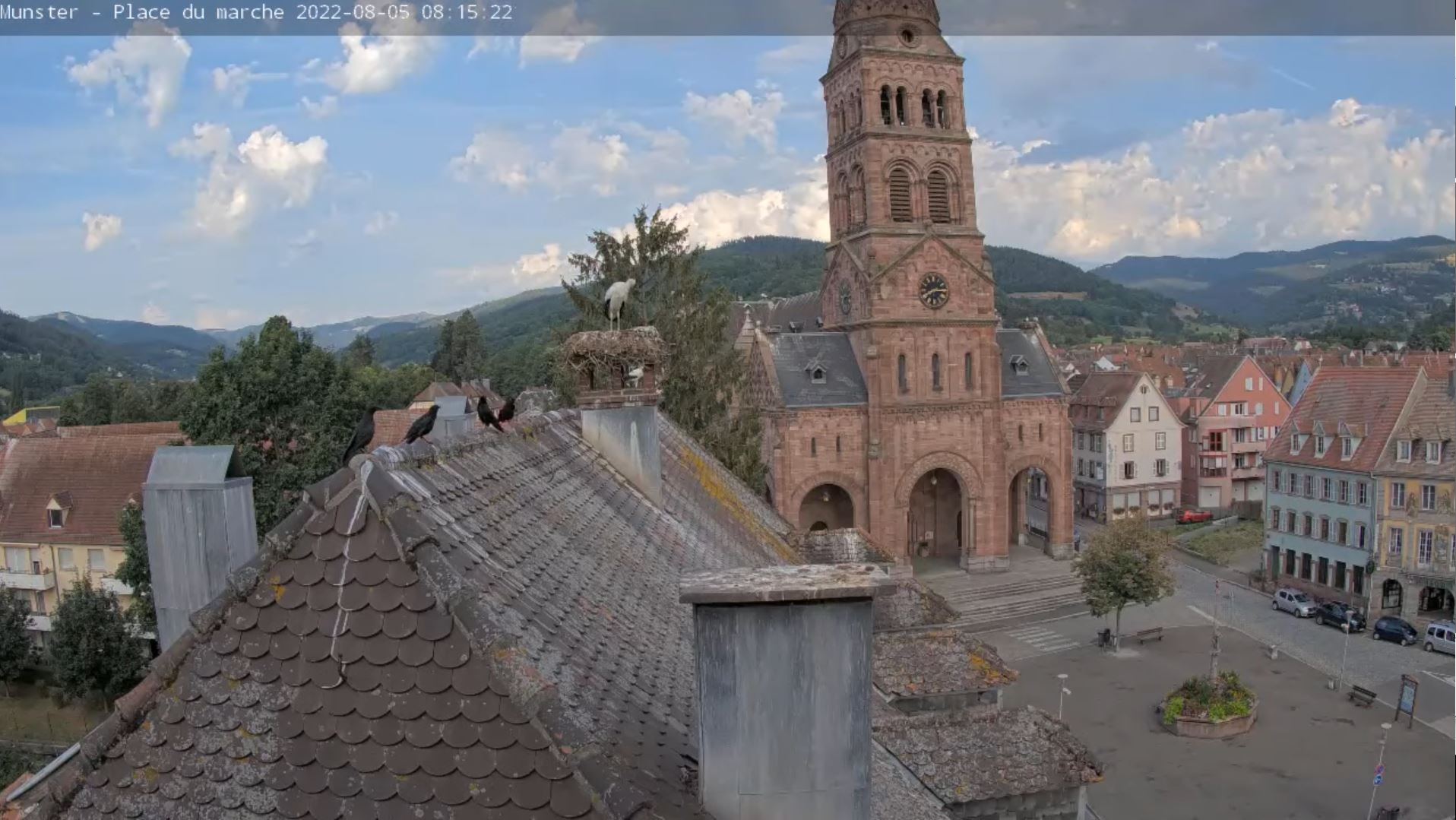 Visit webcam Munster GrandEst France