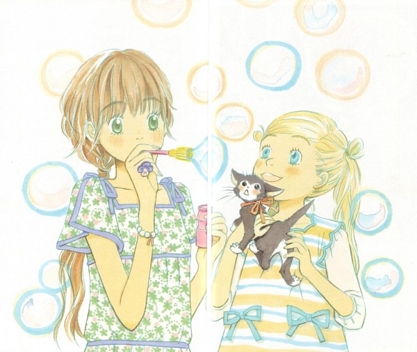 Hachimitsu to Clover (Honey And Clover) Umino Chika Image 993013