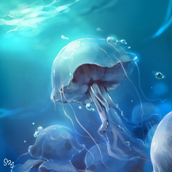 Jellyfish Zerochan Anime Image Board