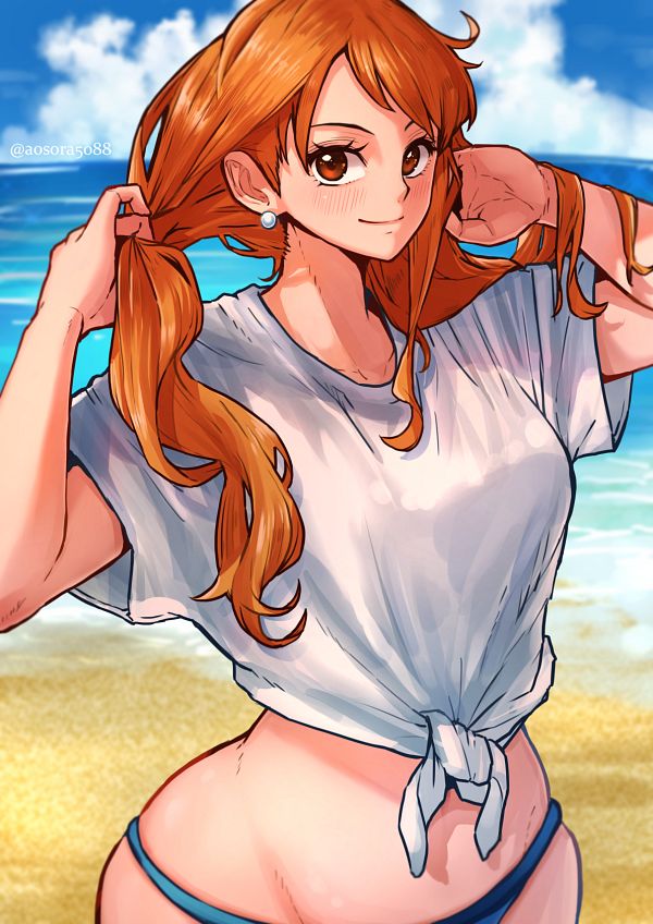 One Piece Nami Full Body