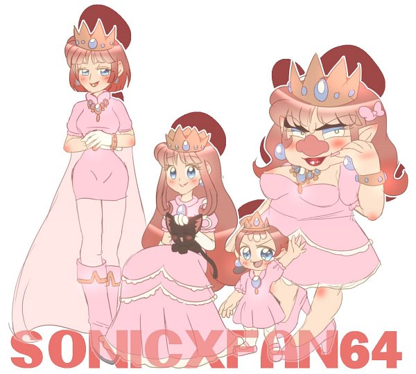 Princess Shokora Wario Land Image by SonicXFan64 3490480