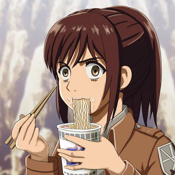 Sasha Braus (Sasha Blouse) Attack on Titan Image