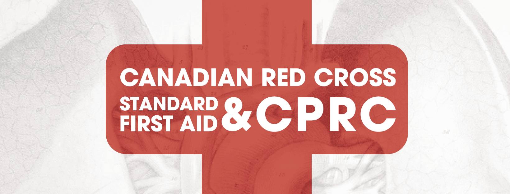 Algonquin Students' Association Canadian Red Cross Standard First Aid