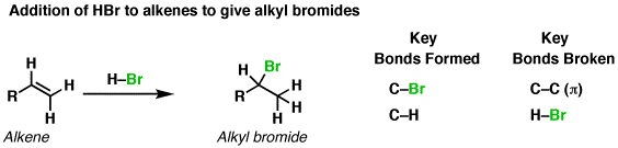 Addition of HBr to Alkenes Master Organic Chemistry