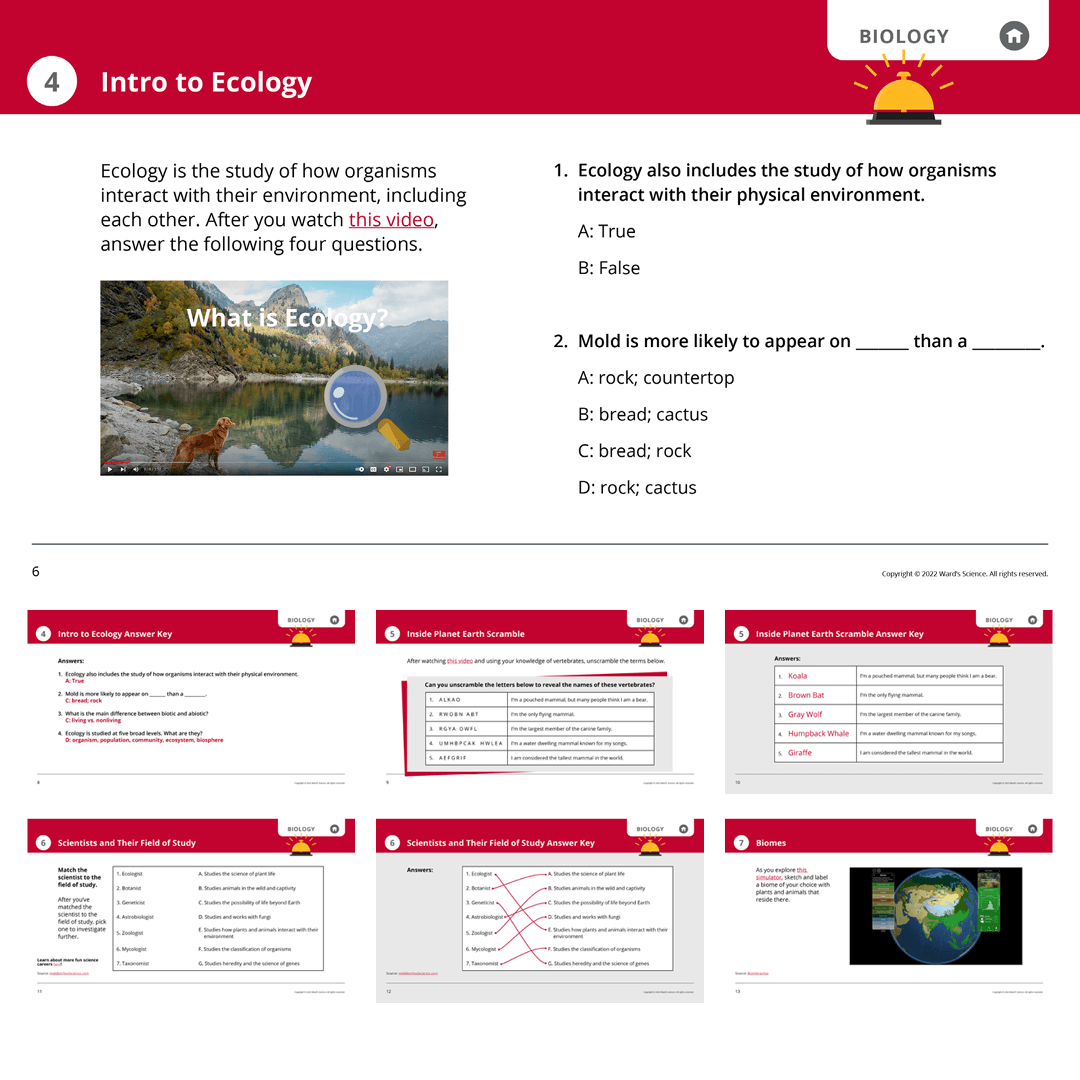 Science Bell Ringers for Biology, Chemistry, Physics, and More