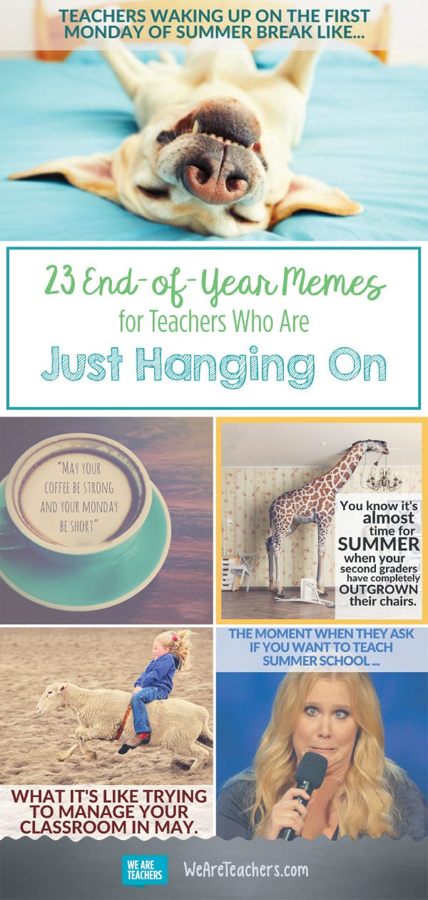 EndofYear Memes for Teachers Who Are Just Hanging On
