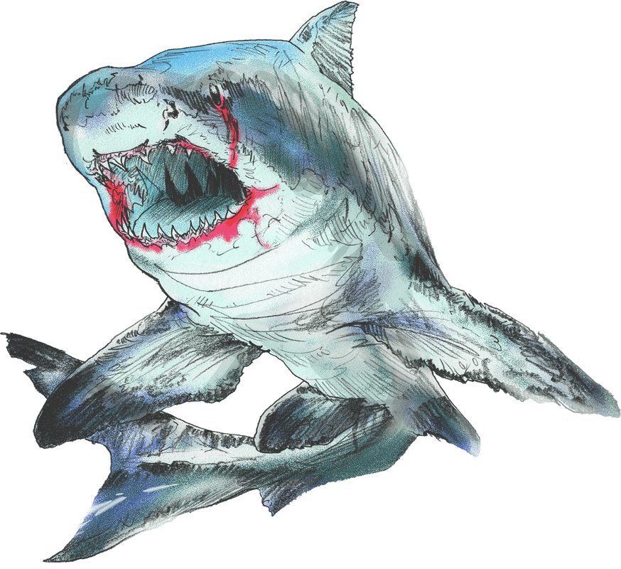Shark Week Dungeon Masters Only Dungeons & Dragons Discussion D&D