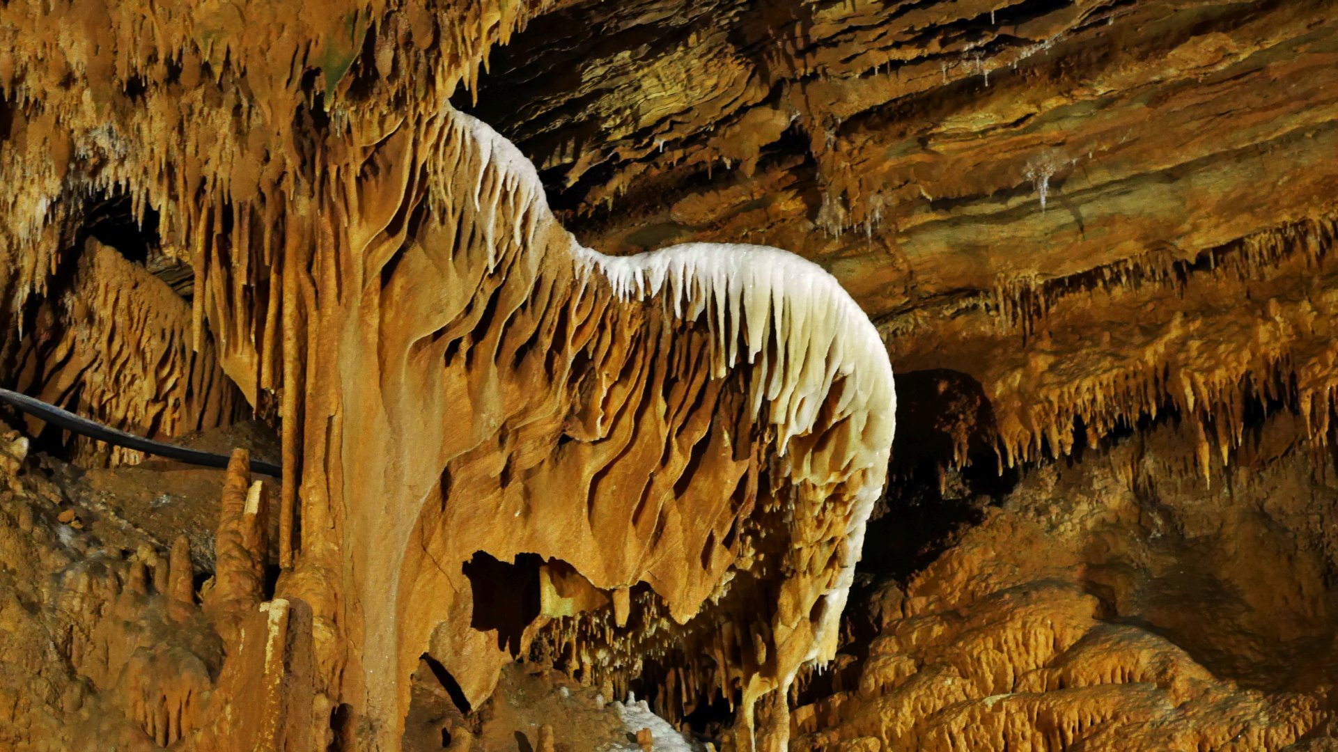 Grand Caverns Horse Formation