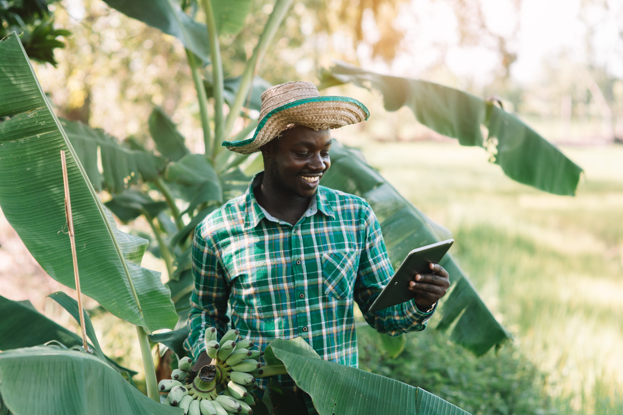 Green Job in Africa ILO Perspective S2
