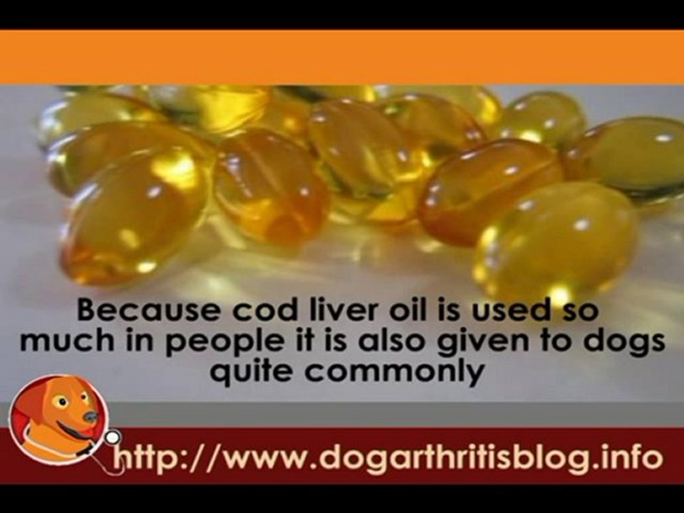 Cod Liver Oil Supplements for Dog Arthritis Treatment video Dailymotion