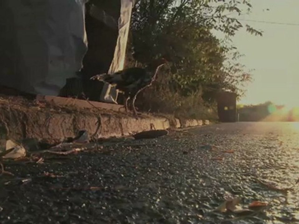 LA BM DU SEIGNEUR Bandeannonce VF Vidéo Dailymotion