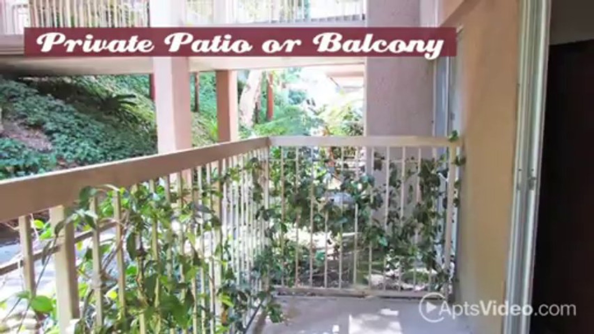 Spectacular Collections Of Oakwood Apartments Toluca Hills Photos