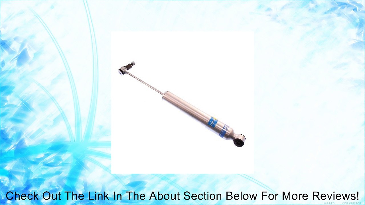 Bilstein 24158848 Steering Damper for Ford F250/F350 4WD Review