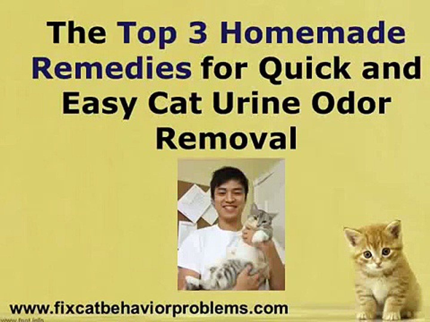 Remove Cat Urine Smell