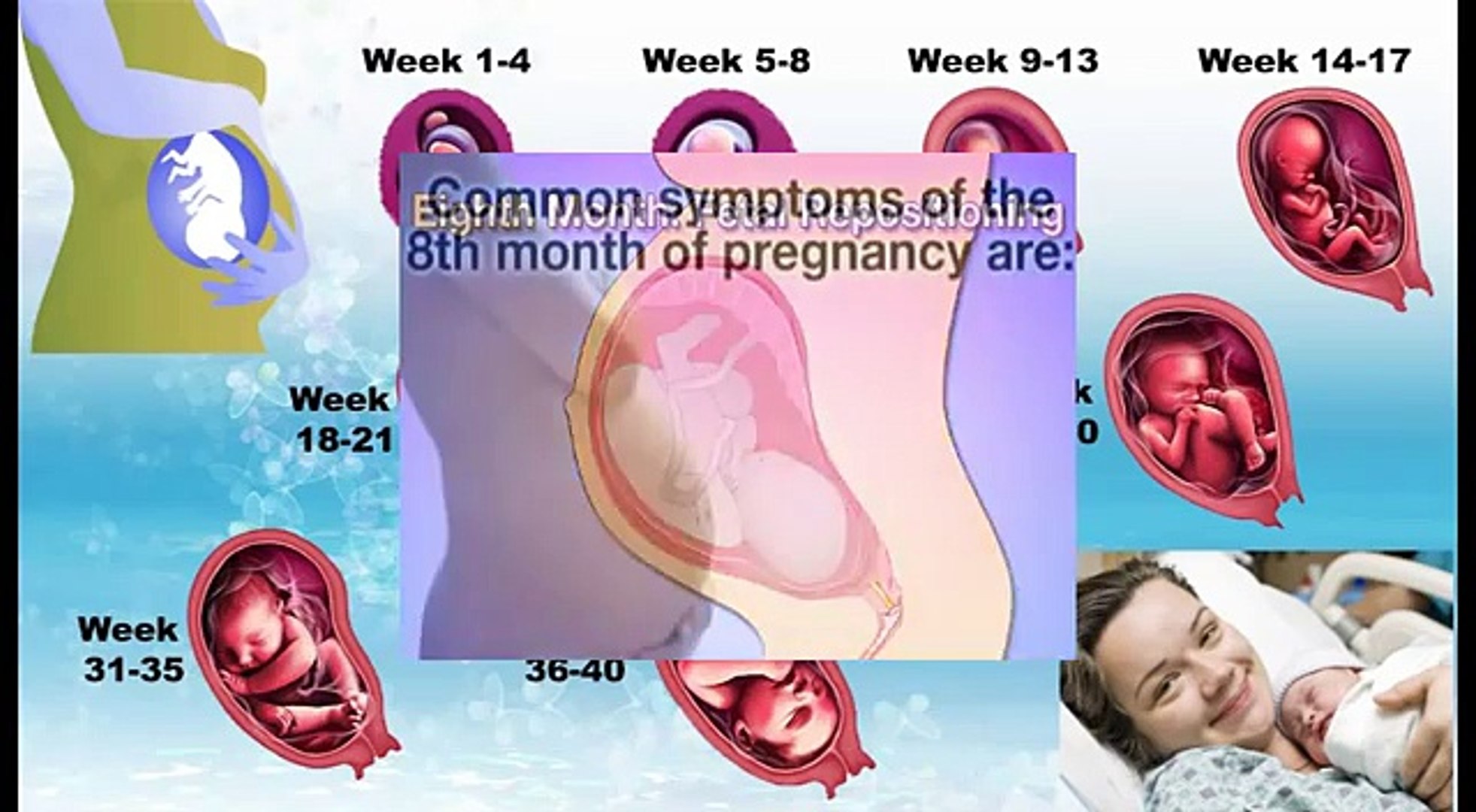 5 Month Pregnancy Baby Movement Video Dailymotion babypregnancy