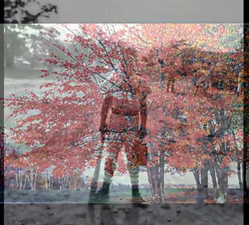 Kincheloe Air Force Base, Michigan. video Dailymotion