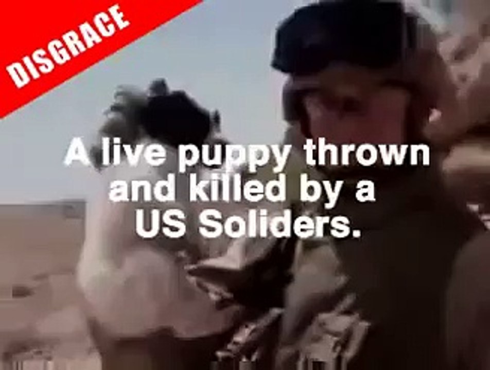 US MARINE THROWS PUPPY OFF CLIFF, David Mortari video Dailymotion