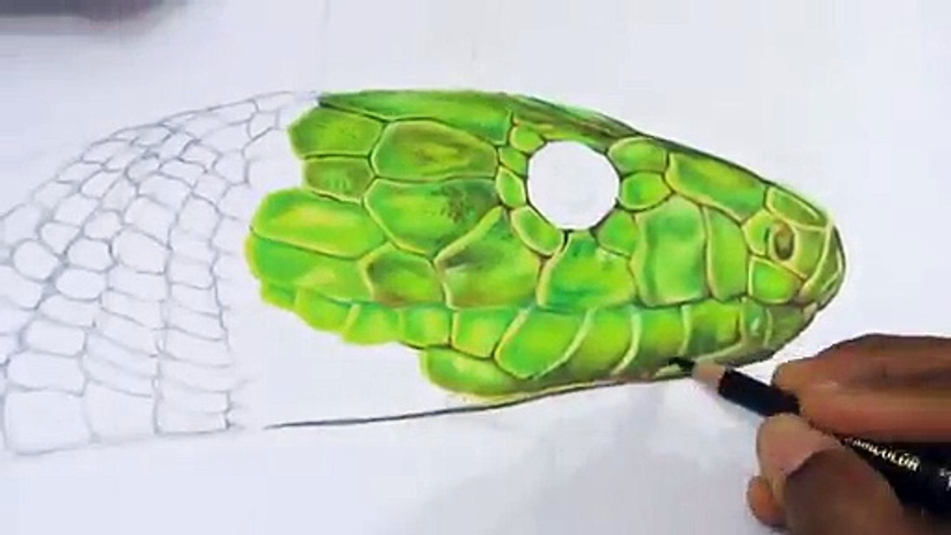 How To Draw A Realistic Snake