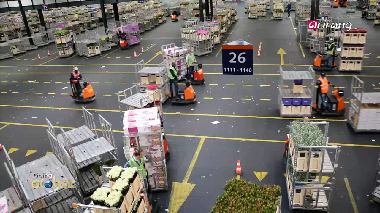 FloraHolland, the world's largest flower market video Dailymotion