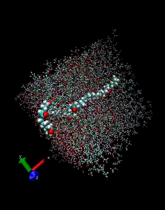Molecular dynamics simulation of polycaprolactone in a mixture of water