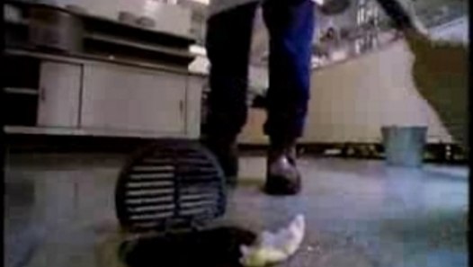 Stomp In The Kitchen Vidéo Dailymotion