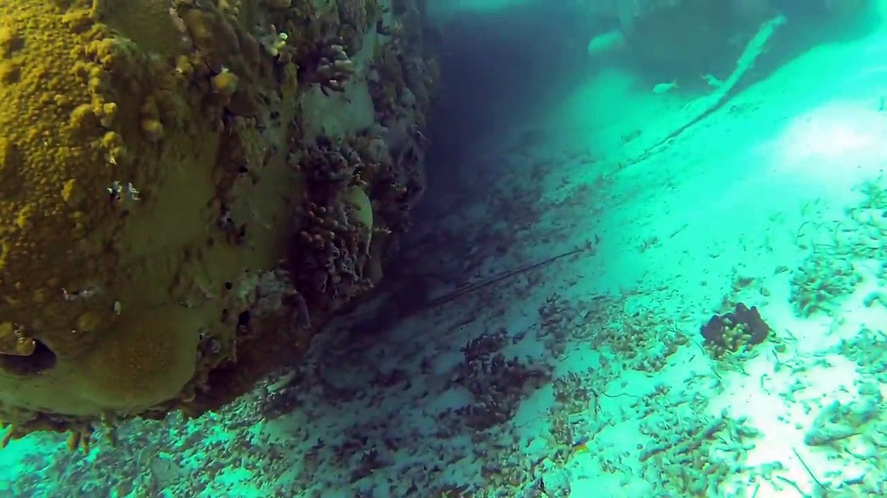 Drug Plane Dive, Normans Cay, Bahamas video Dailymotion